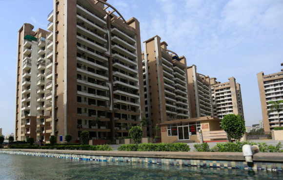 DELIVERED PROJECT – MAXHEIGHTS